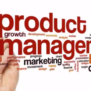 Product Management Mastery: From Idea to Market Success